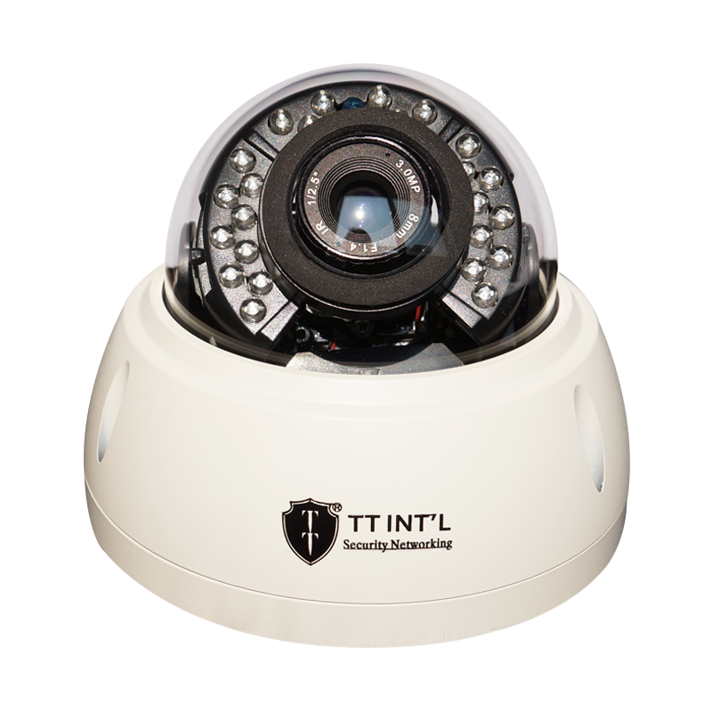 Face Capture IP Metal Dome